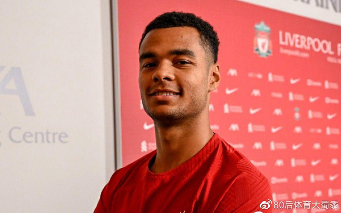 队协作与精 队协作与精